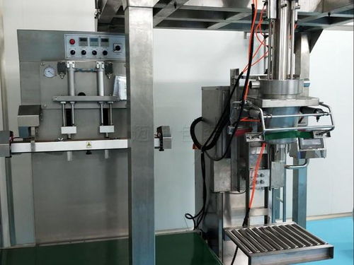 2026年食品包裝設(shè)備前瞻 智能技術(shù)驅(qū)動下的甜味劑、調(diào)味料與增稠劑包裝機廠家推薦